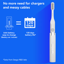 Load image into Gallery viewer, Seago Electric Toothbrush for Travel, Sonic Toothbrush, 2 Brushing Modes, 24,000 Vibrations per Minute, 8 Replacement Heads, Portable Battery Toothbrush, Electric Travel Toothbrush, SG-2102 (Black)
