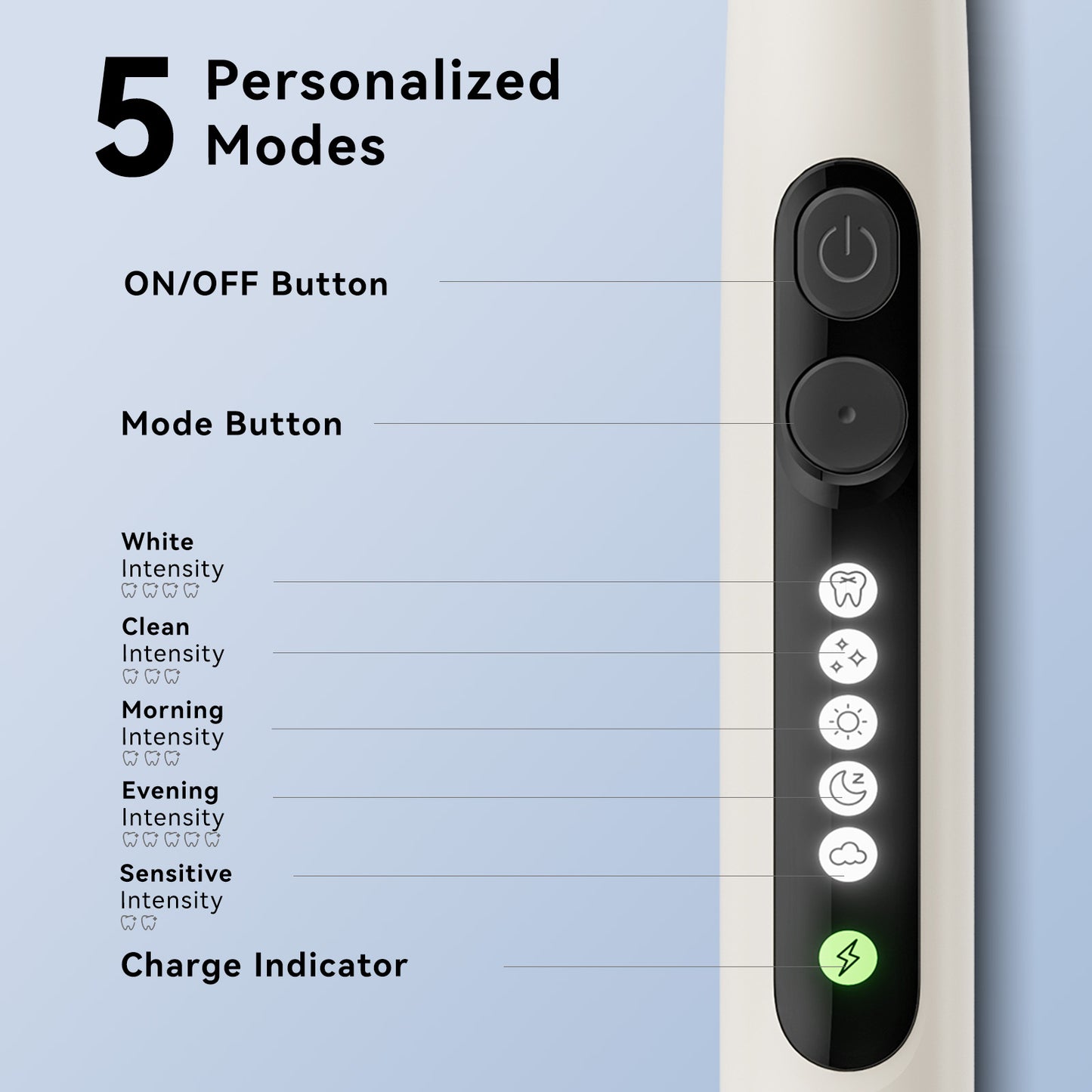Seago Rotating Electric Toothbrush (SG2603)