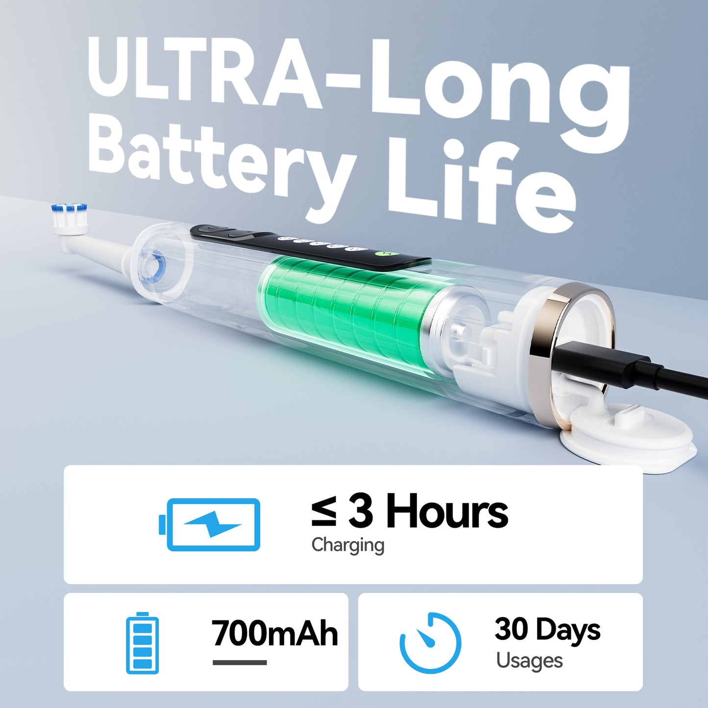 Seago Rotating Electric Toothbrush (SG2603)